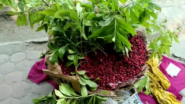 हल्द्वानी पहुंचा पहाड़ के फलों का राजा 'काफल', फिर न कहना 