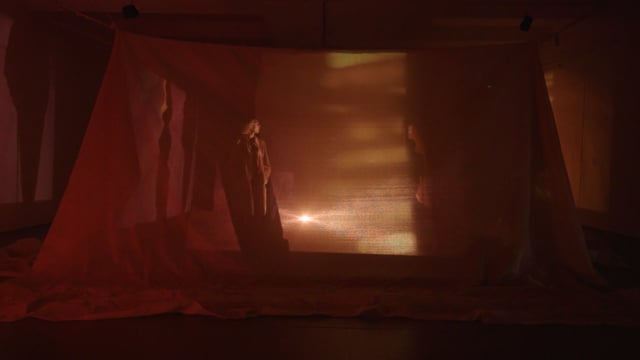 Skin Shade Night Day (Video Documentation)
