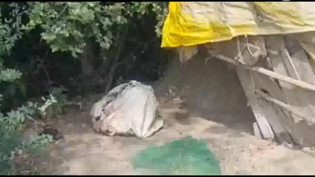  नवाबगंज में झाड़ियों के किनारे मिला खून से लथपथ बोरा मौके पर पहुंची पुलिस