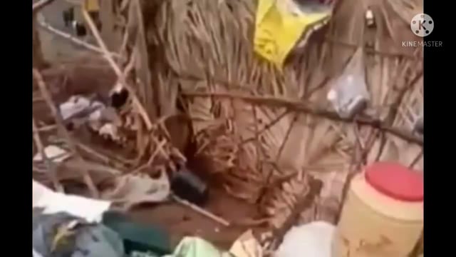 शुक्रवार की शाम आई तेज आंधी बारिश से दो घर के आशियाने उड़े गृह स्वामी परेशान