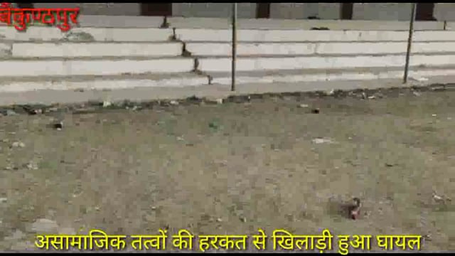 असामाजिक तत्वों की हरकत से खिलाड़ी हुआ घायल पैर में लगी चोट शराब के टुकड़े बोतल से