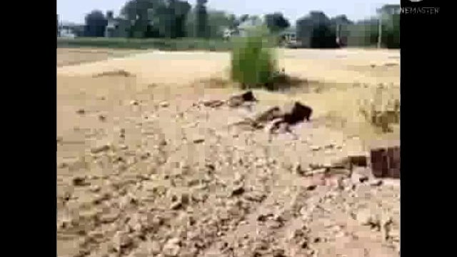 ब्रेकिंग न्यूज़ बस्ती में दबंगों का तांडव घर में घुसकर वृद्धि दंपत्ति को पीटकर किया घायल