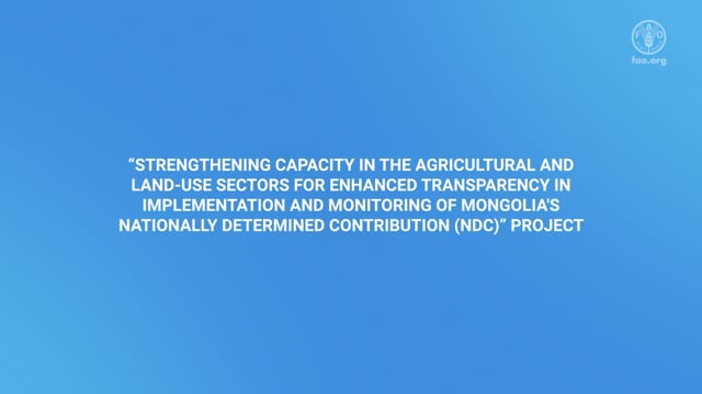 United Nations — Narration