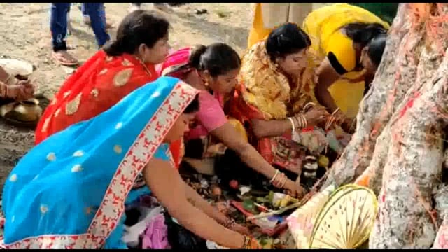 वट वृक्ष की पूजा कर पति की दीर्घायु के लिए सुहागिनों ने की पूजा