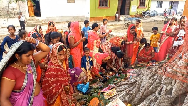 जमुई में सुहागिन महिलाओं ने वट सावित्री की पूजा अर्चना कर पति की दीर्घायु के लिए की कामना 