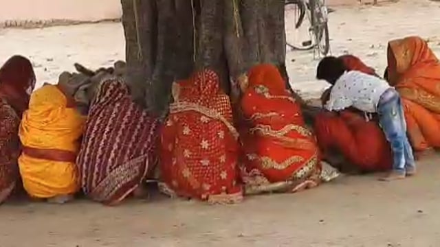 नवाबगंज क्षेत्र अंतर्गत कई गांव की महिलाओं ने वट वृक्ष का पूजन कर पति के लंबी उम्र की कामना