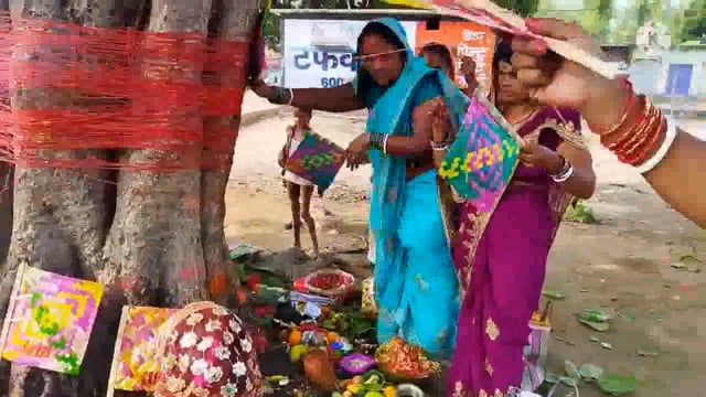 बट सावित्री पर्व को लेकर सुहागिन महिलाओं ने पति की लंबी उम्र के लिए विधिवत वट वृक्ष की पूजा अर्चना की