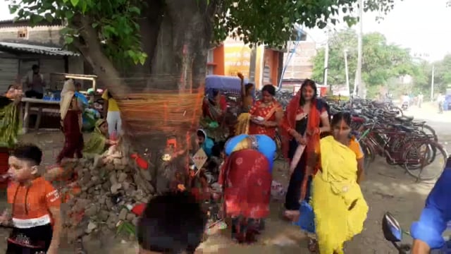 हसपुरा में शहर से लेकर गांव तक बट सावित्री ब्रत हर्षोल्लास के साथ मनाया गया,महिलाओं ने की पति की दीघायु होने की कामना