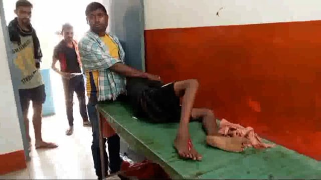 सिउडी गांव में पेड़ से गिरने से एक बालक गंभीर रूप से हुआ जख्मी रेफरल अस्पताल में हुआ प्राथमिक इलाज
