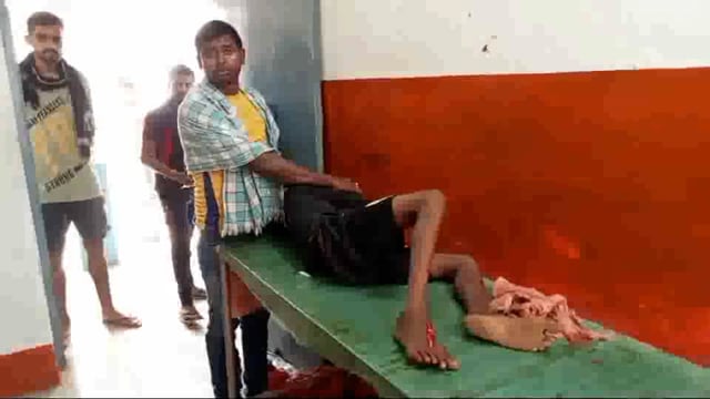 सिउडी गांव में पेड़ से गिरने से एक बालक गंभीर रूप से हुआ जख्मी रेफरल अस्पताल में हुआ प्राथमिक इलाज