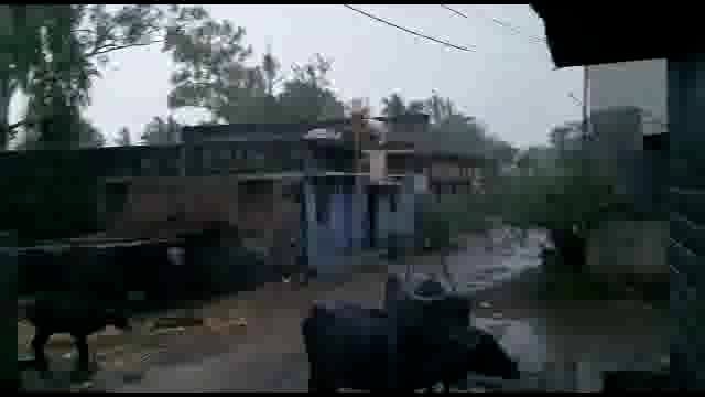 शहरासह तालुक्यात विविध ठिकाणी मान्सूनपूर्व पावसाला सुरुवात