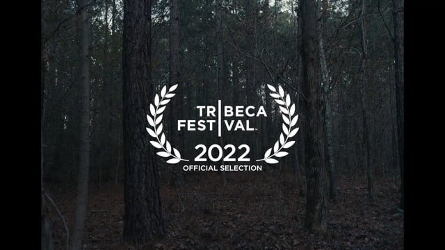 Teaser