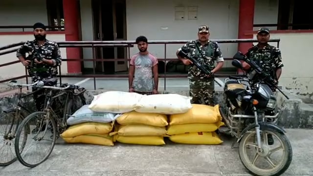 सिद्धार्थनगर भारत नेपाल बॉर्डर के पकड़ीहवा बॉर्डर पर एसएसबी ने एक तस्कर को 10 बोरी खाद के साथ पकड़ा