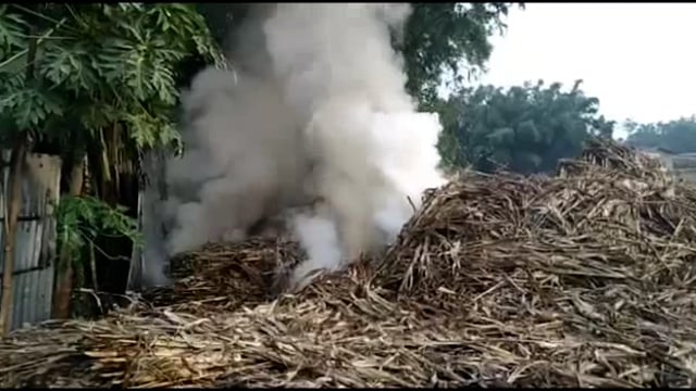 जामुन टोला में बिजली के शार्ट सर्किट से मक्का के बगरा में अचानक आग लग गई आग लग जाने के कारण गांव में अफरा-तफरी