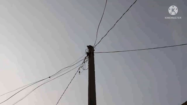 आज शुक्रवार के दिन 33000 केवी में मेंटेनेंस कार्य को लेकर सुबह 8:00 बजे से 2:00 बजे तक रहेगी बिजली बाधित