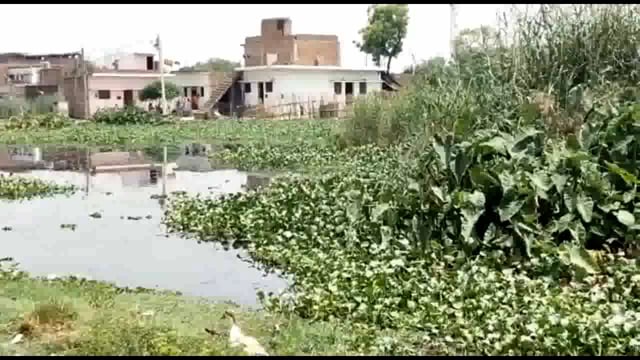 नगर पंचायत बंकी में तालाब की भूमि पर अवैध अतिक्रमण को तहसील प्रशासन ने करवाया ध्वस्त 