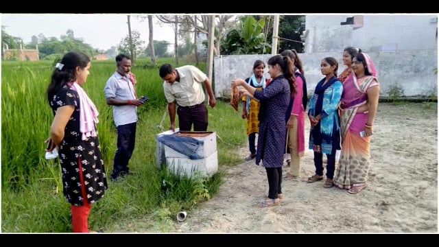 रामसनेही घाट- मिशन शक्ति अभियान के तहत ग्रामीण क्षेत्रों की महिलाओं को रोजगार से जोड़कर बनाया जा रहा है स्वावलंबी