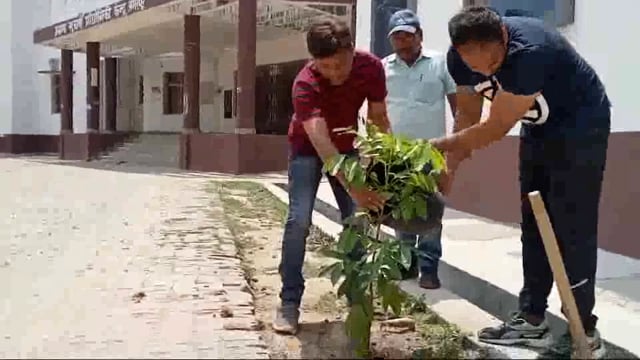 विश्व पर्यावरण दिवस के अवसर पर प्रखंड विकास पदाधिकारी और अंचलाधिकारी के द्वारा किया गया संयुक्त रूप से वृक्षारोपण