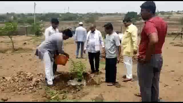 सोमनाथपूर ग्रामपंचायतीने जागतिक पर्यावरण दिनानिमित्त केली वृक्ष लागवड