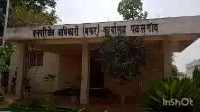 चिमूर तालुक्यातील ताडोबा बफर झोन क्षेत्रात येणाऱ्या पळसगाव वन परिक्षेत्रात वाघाच्या हल्ल्यात गुराखी गंभीर जखमी