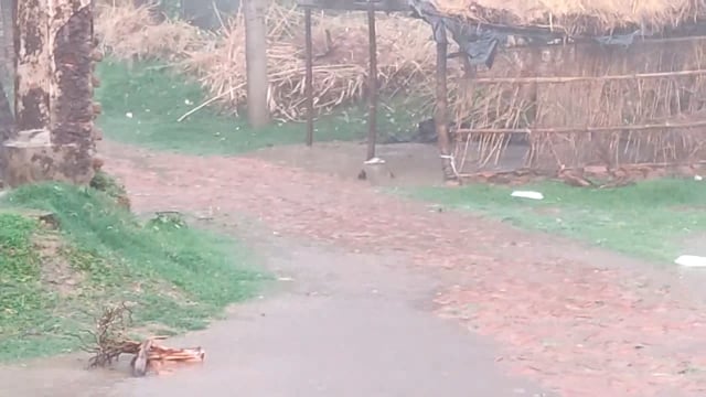 जिले के लिए मौसम विभाग की टीम के द्वारा रिपोर्ट जारी अगले 24 घंटे में बारिश की संभावना