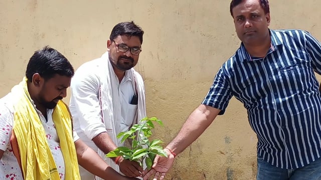 चानन  : चानन में विश्व पर्यावरण दिवस पर पंचायत प्रतिनिधियों एवं पदाधिकारियों ने किया मुख्यालय में पौधारोपण ।