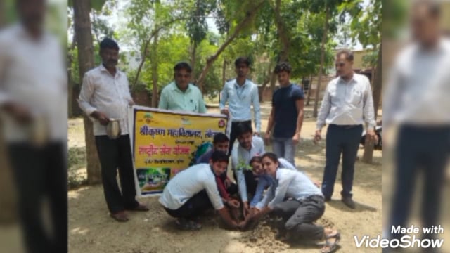 पर्यावरण संरक्षण में पेड़ों का होता है अमूल्य योगदान