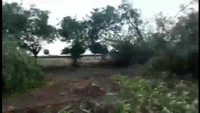 आटपाडी तालुक्याच्या श्चिम भागाला वादळी वाऱ्याचा तडाखा शेकडो झाडे उन्मळून पडली तर अनेक घरांचे छत उडून गेले
