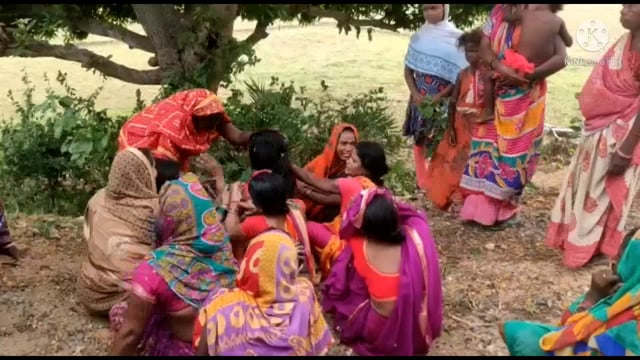 भितीया वीट ऑफिस के पास अज्ञात हाईबा ने बाइक में मारी टक्कर मौके पर ही एक की मौत ,दो घायल