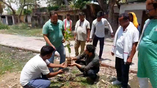 सिरदला प्रखंड कार्यालय में बीडीओ व सीओ ने विश्व पर्यावरण दिवस पर किया पौधा रोपण