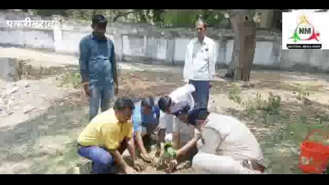 नवादा पकरीबरावां में  विश्व पर्यावरण दिवस के शुभ अवसर पर BDO और एसडीपीओ ने लगाया दर्जनों फलदारऔर  छायादार पेड़