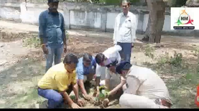 नवादा पकरीबरावां में विश्व पर्यावरण दिवस के शुभ अवसर पर BDO और एसडीपीओ ने लगाए दर्जनों फलदार और छायादार पेड़ 