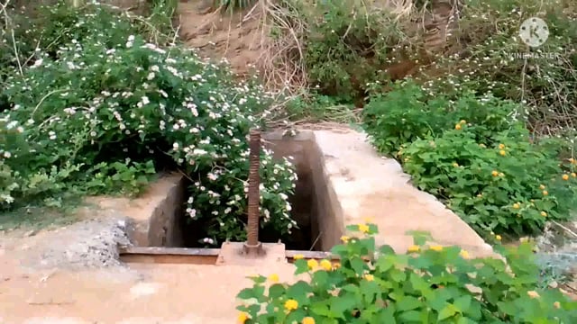 बेलहर में आपराधियों का तांडव जारी,अपराधियों ने दिया घटना को अंजाम