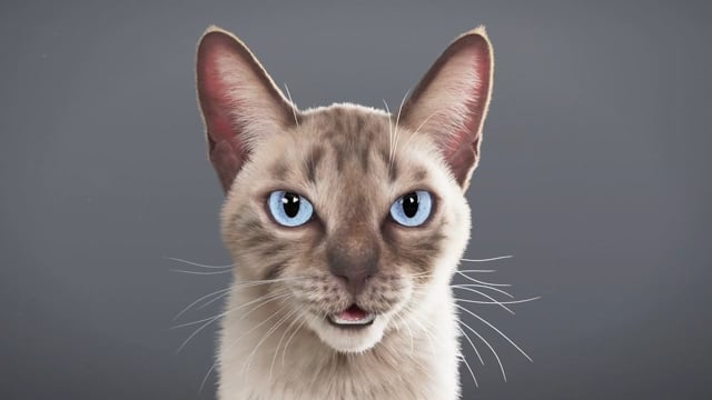 Winter 22 (OnGround) Quarter — Fowler