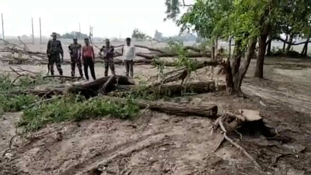 सिद्धार्थनगर खुनूवा बार्डर के पास एसएसबी के जवानों ने प्रतिबंधित लकड़ी की तस्करी करते समय 1 तस्कर को किया गिरफ्तार 