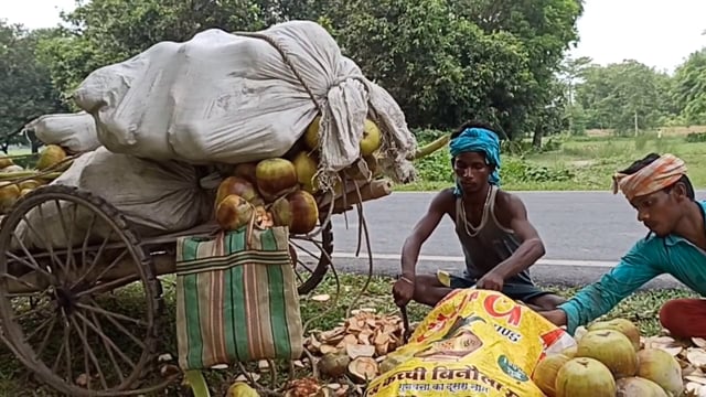 कदवा तार का फल तारकून बेचकर आदिवासी समुदाय के लोग कर रहे हैं घर का भरण पोषण।