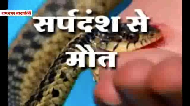 सांप के डसने से युवक की मौत परिजनों में मचा कोहराम 