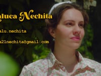 Raluca Nechita - showreel