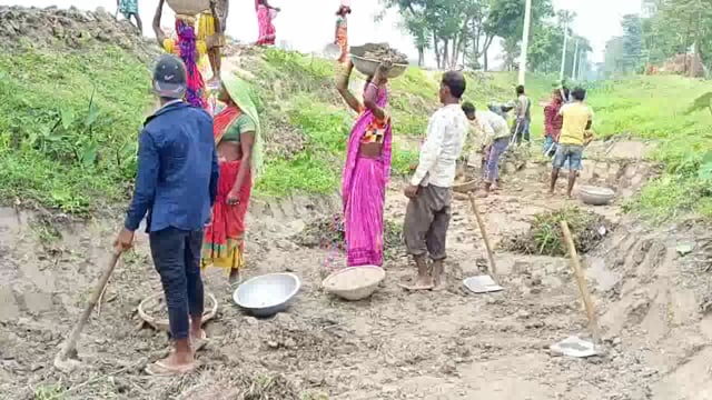 तीनगछिया बड़ी नहर में मनरेगा के तहत से चल रहे कार्य का प्रखंड प्रमुख ने किया निरीक्षण