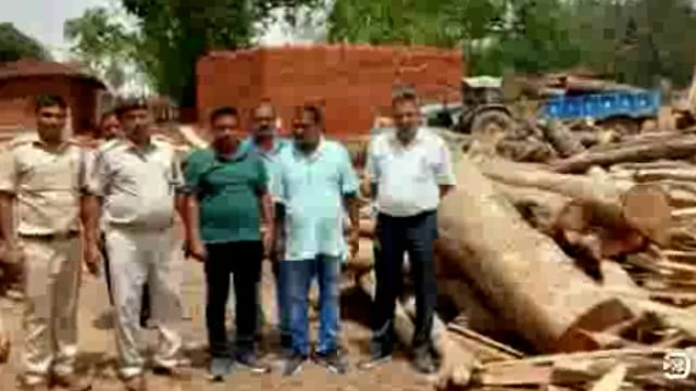 डीएफओ के नेतृत्व में गांडेय प्रखंड के चौरा में संचालित अवैध आरा मील में छापा, पांच लाख की लकड़ी समेत मशीन जप्त