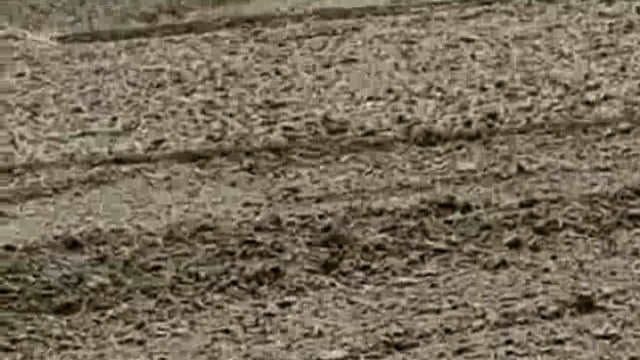 खरेली में हो रहा अवैध मिट्टी खनन जिम्मेदार बेखबर ।