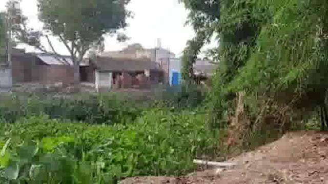 लहरपुर तहसील क्षेत्र के ग्राम मूड़ीखेरा के तालाब का मिटता जा रहा अस्तित्व जिम्मेदार नहीं दे रहे ध्यान