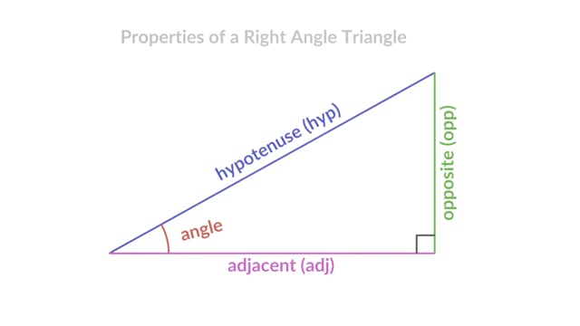 Phyllotactic Pattern video