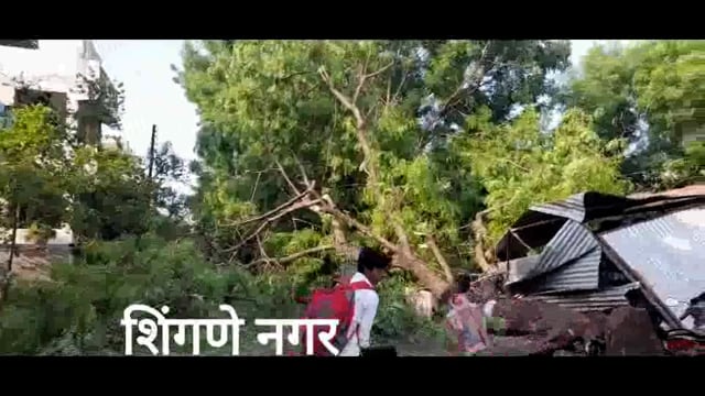 वादळी वाऱ्यासह पावसाने मोठमोठे वृक्ष पडले उन्मळून