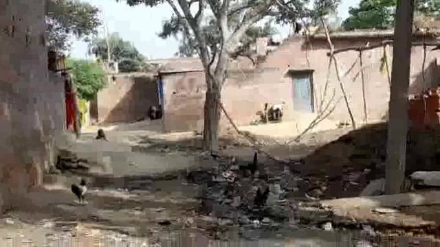 लहरपुर अंतर्गत आने वाले ग्राम गोकुलहा में गंदगी की भरमार कीचड़ से बच बजाती नालियां जिम्मेदार नहीं दे रहे ध्यान