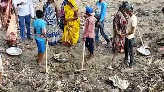 सिद्धार्थनगर जिले के बचडी बचडा में पोखरे की सुन्दरीकरण में नाबालिक बच्चे कर रहे काम 