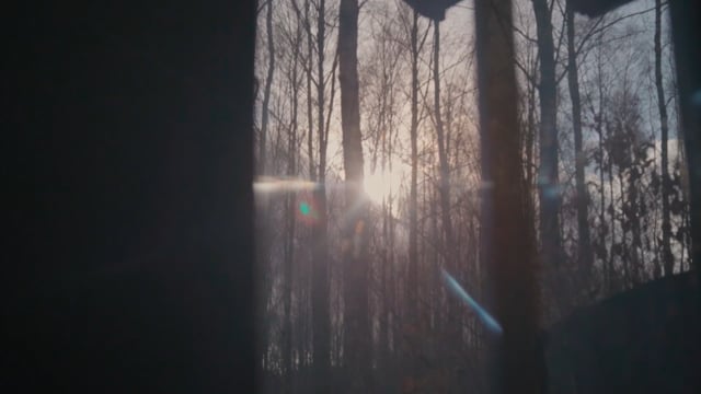 Wild Women - Trailer (VOSTeng)