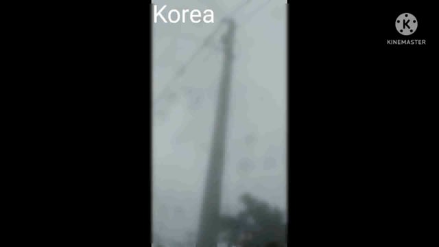 कोटकताल मे करंट की चपेट मे आनें से गौवंश की हुई मौत