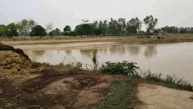 जमुनहा: दोदी पुरवा गांव में सुंदरीकरण के अभाव में उपेक्षा का शिकार हो रहा मनरेगा तालाब