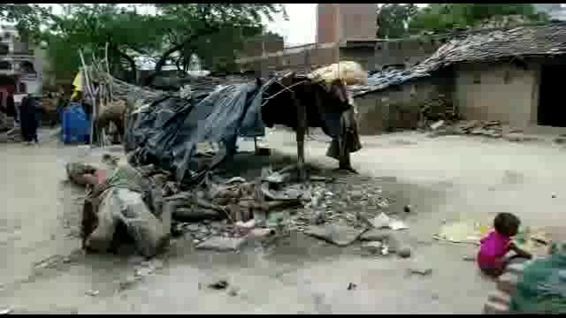 नगर पालिका परिषद भरवारी में फैली अबूझ बीमारी,10 दिन के भीतर 4 मासूम बच्चों ने तोड़ा दम,बेखबर जिले का स्वास्थ्य विभाग